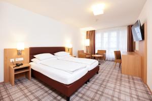 Double Room room in Hotel Rochat