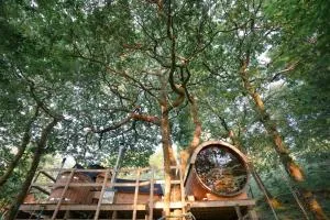 Pine Tree House with Hot tub & Sauna - 多尔盖罗