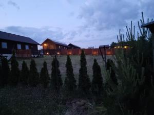 Domki letniskowe Przy Kasztanie - Ubytování bez kategorie ve městě Wiele
