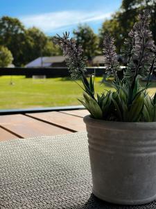 Trommeļa brīvdienu mājiņas-kempings