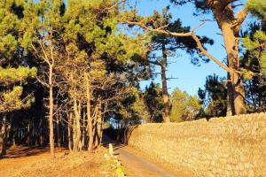 itacahomes casa NORO