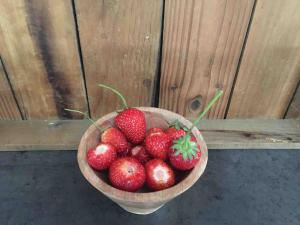 Bij Leentjer geheel appartement