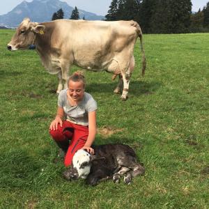 Edelweiß Hörnerbahnen von Mai bis Oktober frei