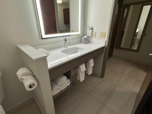 King Suite with Sofa Bed room in Holiday Inn Express Hotel & Suites St. Paul - Woodbury an IHG Hotel