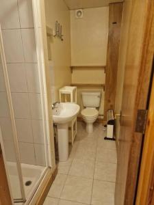 Bright studio apartment Highgate