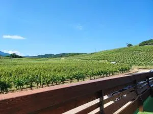 L'Altenberg - 坦嫩基什