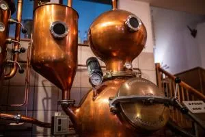 Hotel & Restaurant Zum Ochsen -Ox Distillery - Goldbach