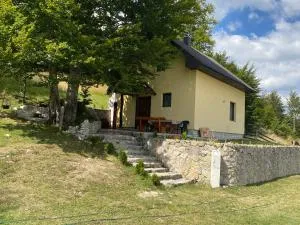 Lasica - Motički Gaj