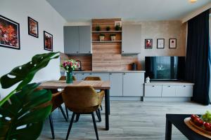 Laguna Beskidów Resort - Apartament A67