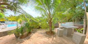 Villa Jungle Paradise