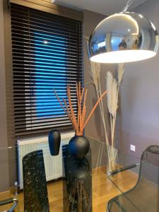 Downtown Stylish Flat