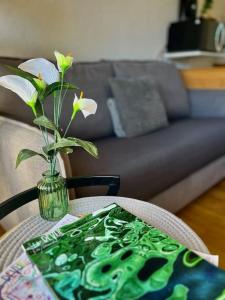 ''Ophélia 133'' Cosy studio climatisé avec balcon - Strutture non classificate a Sète