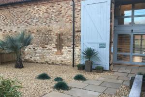 Owlets at Mulberry Barn