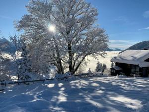 Lina - Lakeview Living near Interlaken