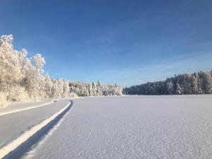 Glamping tent in a forest, lake view