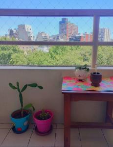 Luminoso y amplio, Congreso.