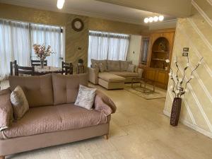 Central luxurious apartment with amazing Nile view