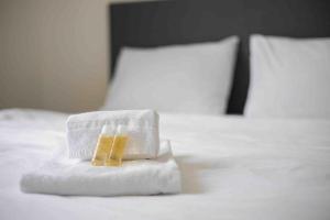 Urban Oasis with Queen Bed and View BE-43