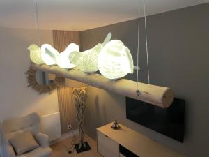Appartements Bealtitude : photos des chambres