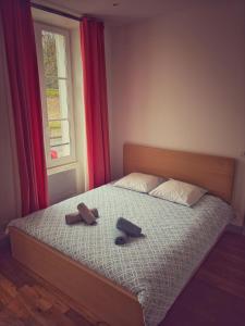 Appartements Le jardin de l'arbre sec + parking, proche chateau. : photos des chambres
