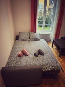 Appartements Le jardin de l'arbre sec + parking, proche chateau. : photos des chambres