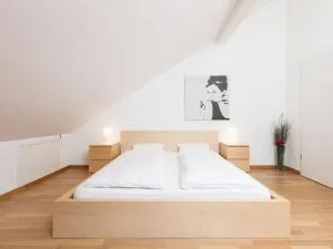 Sunrise Terrace 2,5 Room Apartment FR-31 - Opfikon