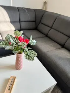 Apartment C25 - Cífer