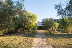 Lefkadas Bohemian Cottage