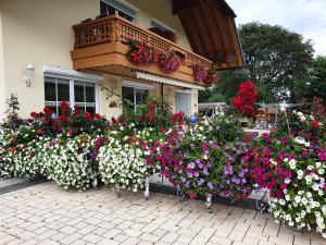 Appartement Rehblick