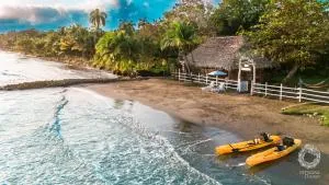 Nirvana Resort - 利文斯顿