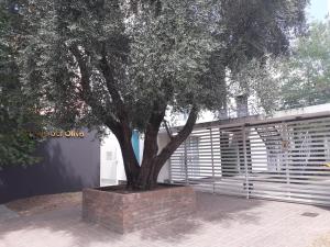 Departamento El Olivo con cochera