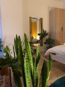 Vibe Studio Apartment