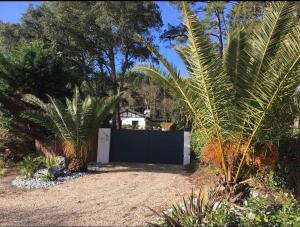 Charmant T2 jardin près des plages et du golf Seignosse