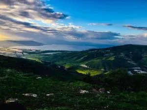 شقة سيلا - 伊尔比德