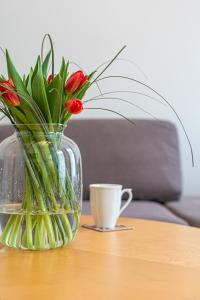 Neptun - BillBerry Apartments