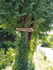 Bieszczadzka Dolina u Magdy