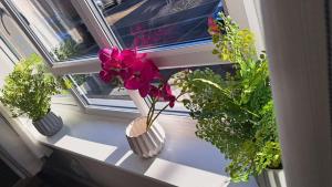 Tropical Sun Homes - Beautiful spacious 3 bed home in a serene environment with free parking for 2 cars