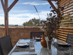 Le grand chêne vert - Bagnols-sur-Cèze
