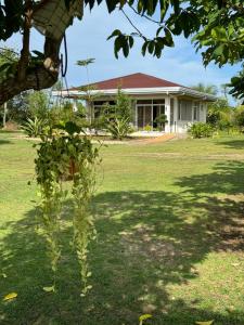 INATO SUITES Rm 1 1 queen bed and a pullout sofa bed
