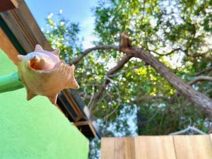 Beach Terrace Loft in Buen Hombre