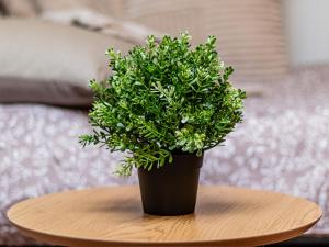 Vazov Loft - Central Sofia Studio