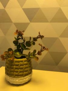 StudioX, perto de tudo, garagem