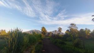 Raturinjani homestay