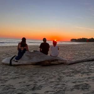 habitación en Casa Palma y Coco