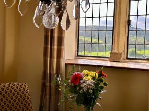 Derbyshire Cottage for 4, 1 hour per day private pool use