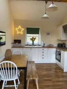 Unique Stay on an Alpaca Therapy Farm with Miniature Donkeys North Wales - Tryddyn