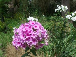 FeWo in Gatersleben bei Quedlinburg