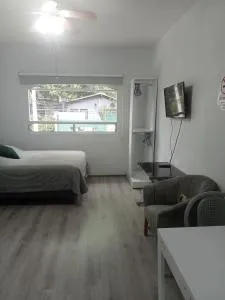 EL LOFT DE COYOACAN - Coyoacán