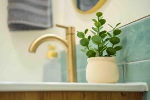 Private Tropical Beach Oasis - Coral