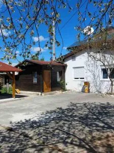 Apartments with a parking space Karlovac - 22225 - Netretić